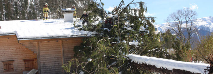3. April – umgestürzter Baum auf Gebäude