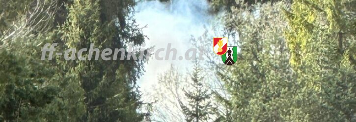 Einsatz Nr. 15 Waldbrand