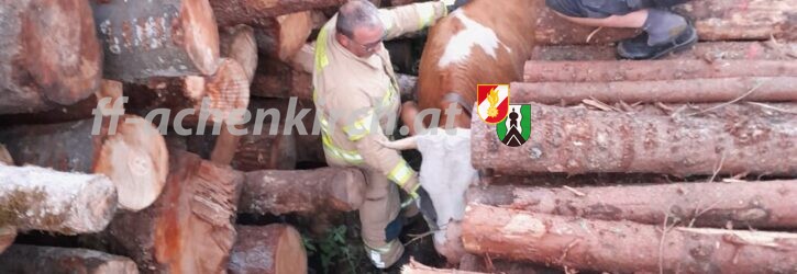Einsatz Nr. 26 Tierbergung