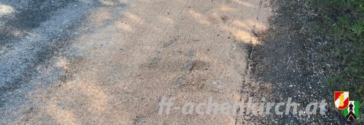 Einsatz Nr. 19 Kleineinsatz Öl